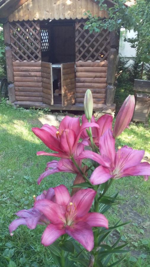 Apartament Лісова Хатинка Kelechin Zewnętrze zdjęcie
